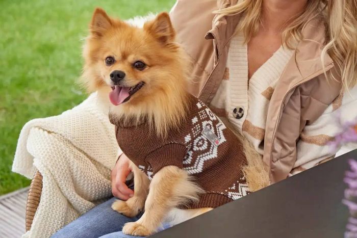 В'язаний светр для собаки Wolters Norwegian 20 см Коричневий