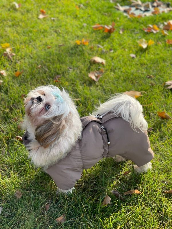 Комбінезон Шейх на силіконі (хлопчик) S