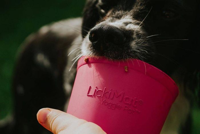 Миска повільного годування собак LickiMat Yoggie Pot Pink