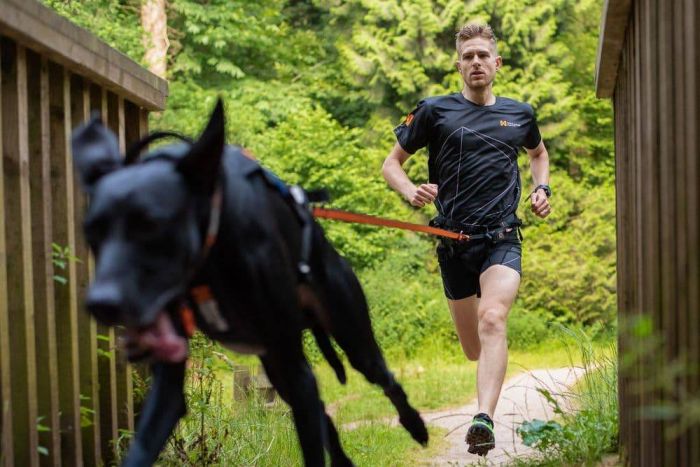 Повідець для собак Bungee leash Non-stop dogwear Чорний/Помаранчевий 2 м/23 мм