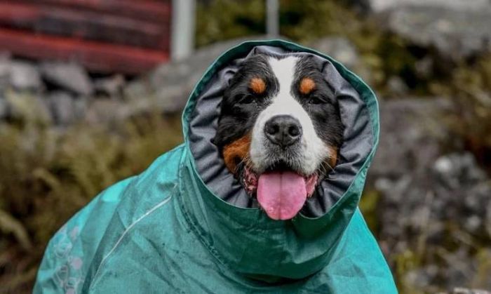 Дощовик для собак Hurtta Monsoon coat II ECO Бірюзовий 80