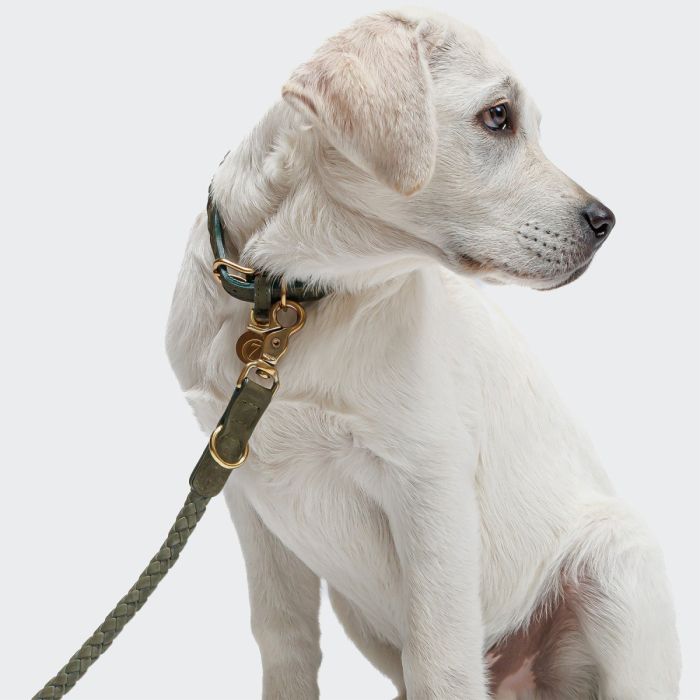 Повідець для собак Cloud7 Ravello Зелений S