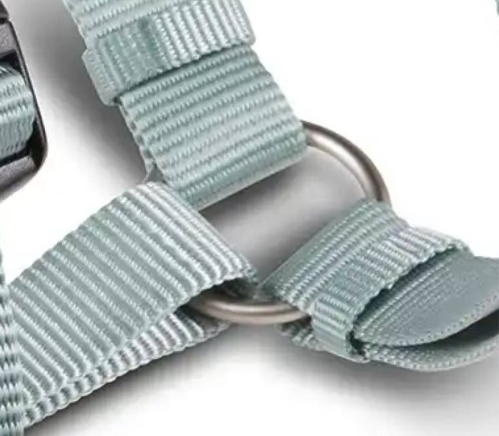 Анатомічна шлейка для собак Wolters Professional S 30-40 см / 10 мм Зелений