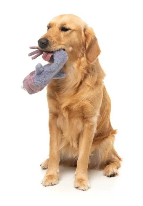 М'яка іграшка для собак FuzzYard Голуб