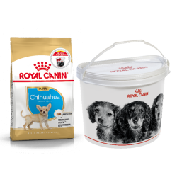 Акція сухий корм Royal Chihuahua Puppy 1.5 кг+контейнер-корм для цуценят породи Чихуахуа 