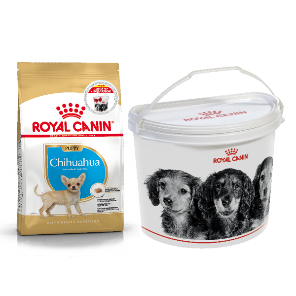 Акція сухий корм Royal Chihuahua Puppy 1.5 кг+контейнер-корм для цуценят породи Чихуахуа 
