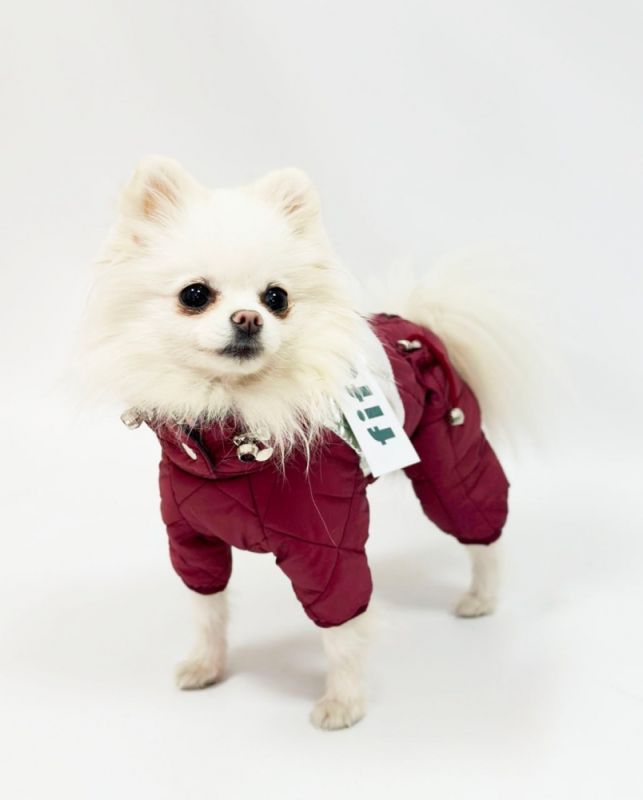 Комбінезон Міла стьобаний силікон (дівчинка) S1