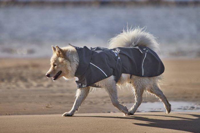 Дощовик для собак Hurtta Mudventure Coat ECO 45 Сірий