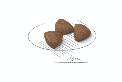 Royal Canin (Роял Канін) Medium Starter 1 кг