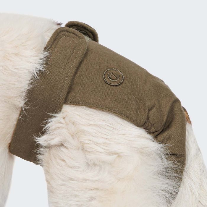 Гігієнічні труси для собак Cloud7 Panties Оливковий XXL