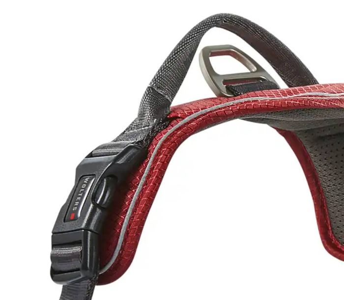 Шлейка для собак пом'якшена з ручкою Wolters Active Pro Comfort 4 55-65 см Червоний