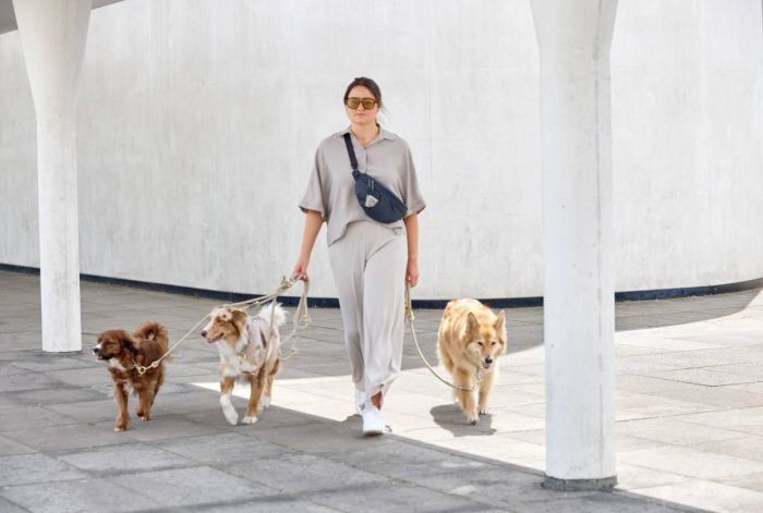 Сумка-бананка для ласощів та аксесуарів собак Palopa Emma Темно-синій