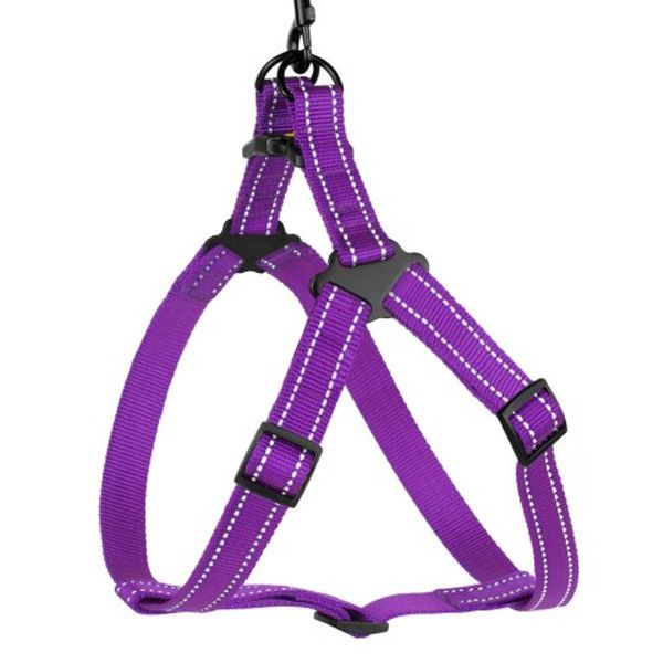 Шлея капронова світловідбиваюча фіолетова 20мм (45-56см