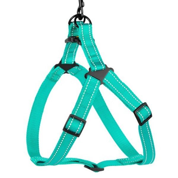 Шлея капронова світловідбиваюча колір ментол ширина 25мм  Обхват грудей 58-71см