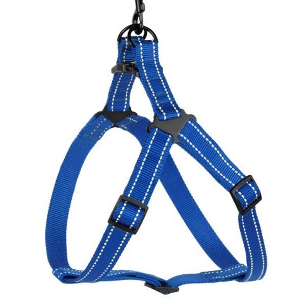 Шлея капронова світловідбиваюча синя 25мм (58-71см)