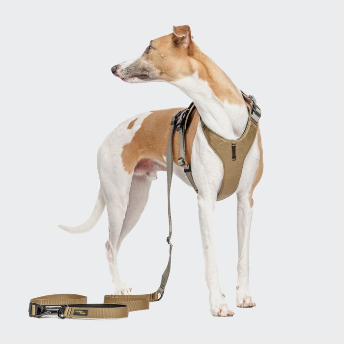 Повідець вільні руки для собак Cloud7 L-1- Hands-Free-Leash AKTIV Сірий S