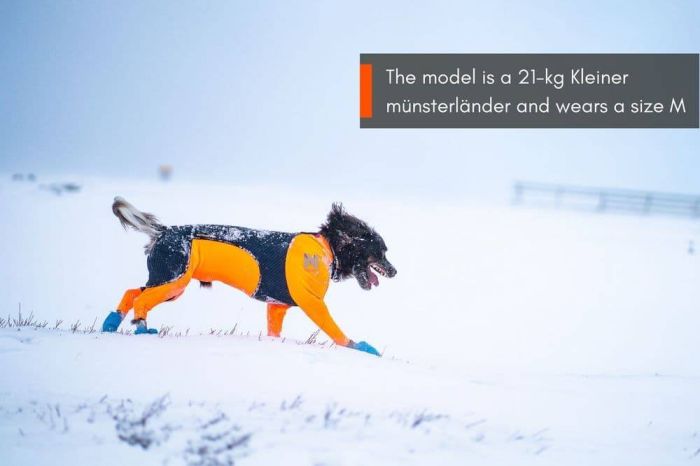 Комбінезон для собак жіночої статі Protector snow Non-stop dogwear Чорний/Помаранчевий XS