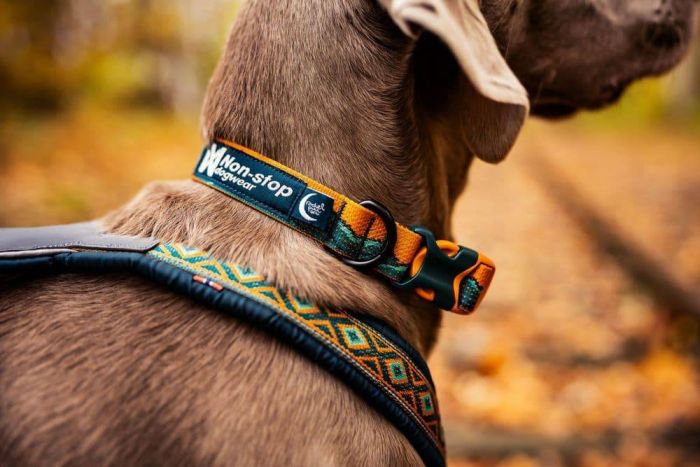 Нашийник для собак Trail quest collar RP signature edition Non-stop dogwear Бірюзовий/Дуб M