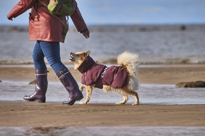 Дощовик для собак Hurtta Mudventure Coat ECO 35 Фіолетовий