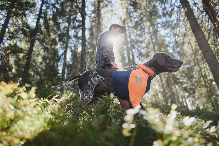 Футболка для собак Protector t-shirt Non-stop dogwear Чорний/Помаранчевий XL