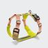 Y-подібна шлейка для собак Cloud7 Y-2 Harness AKTIV Персиковий M