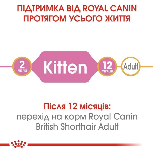 АКЦІЯ Royal Canin British Shorthair Kitten сухий корм для британських короткошерстих кошенят 2 кг + 12 паучів 
