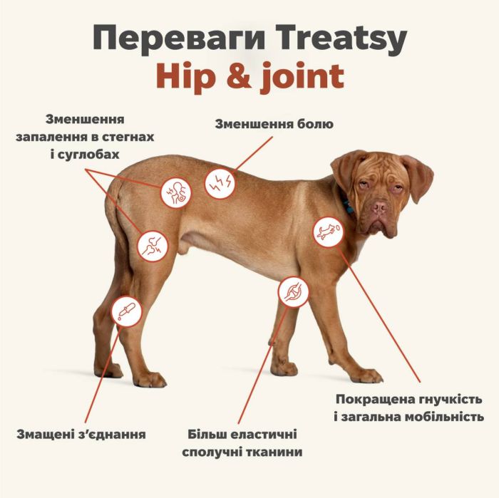 Вітамінний комплекс для м'язів та зв'язок собак Treatsy Hip & Joint 180 г 60 шт