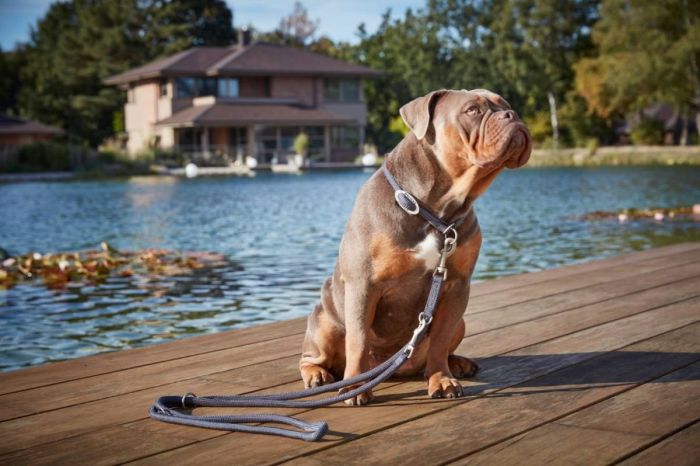 Повідець-канат перестібка вільні руки Wolters K2-Rope Programme 3 м / 13 мм Графітовий