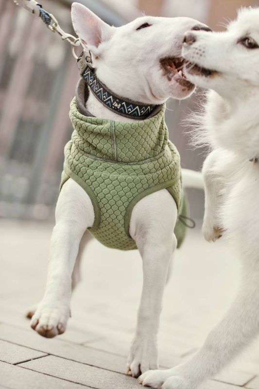 Флісова куртка для собак Hurtta Razzle-Dazzle Midlayer 25 Сірий