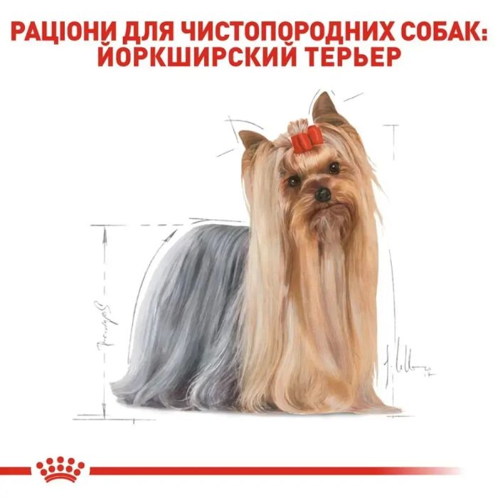 АКЦІЯ Royal Canin Yorkshire Terrier Adult набір корму для собак йоркширський терєр 1,5 кг+ 4 паучі 