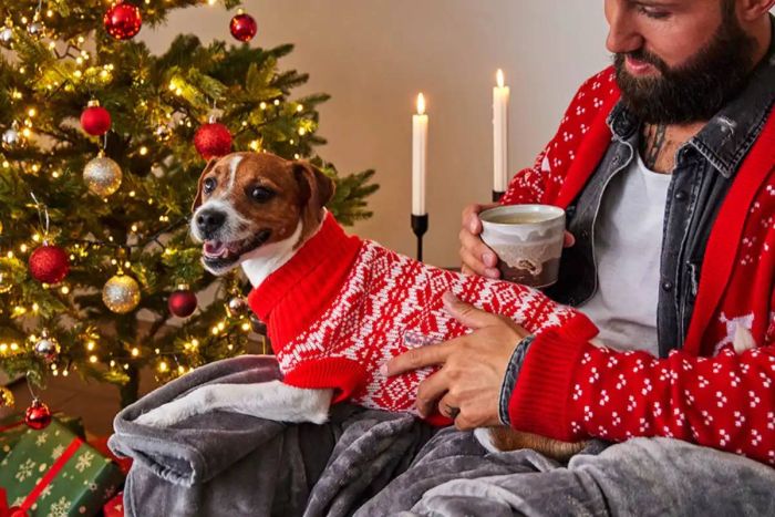 В'язаний светр для собаки Wolters Thore 35 см Червоний