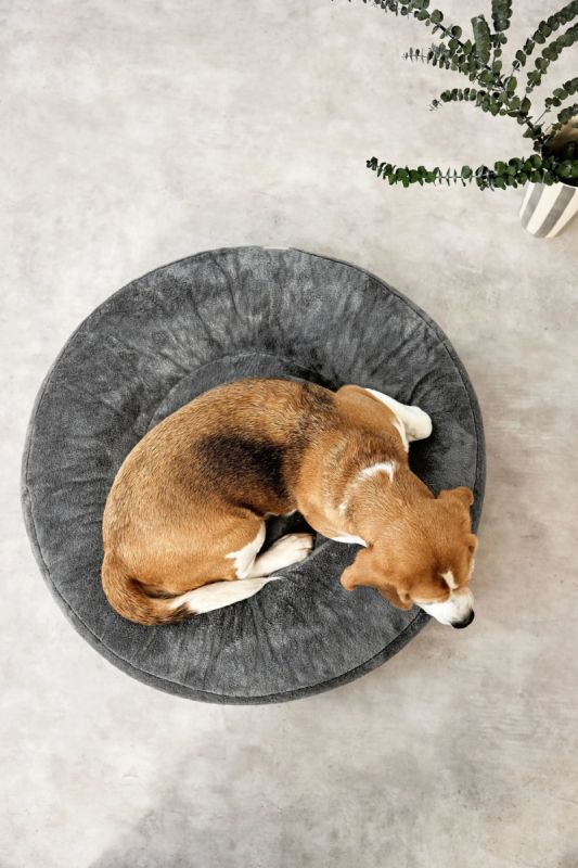 Лежак для собак Palopa Donut Fippa Сірий S