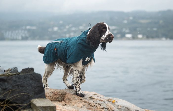 Дощовик для собак Non-stop dogwear Fjord lined Зелений 36