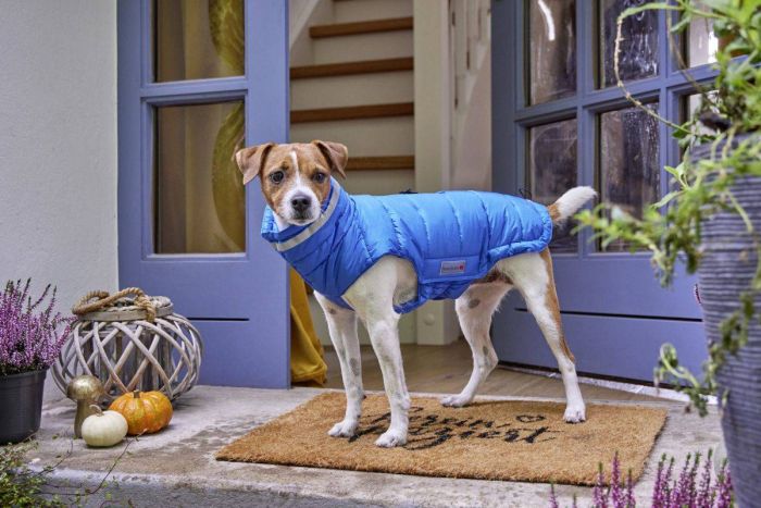 Тепла куртка для собак Wolters Cosy Синій 46 см