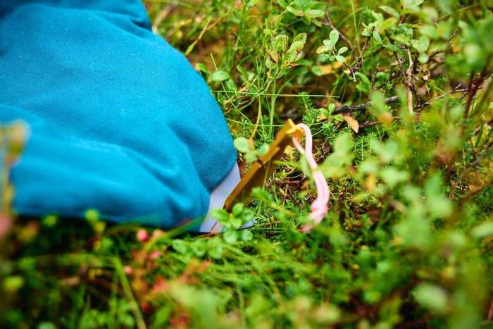 Складаний килимок для собак Trekking dog bed Non-stop dogwear Темно-бірюзовий L