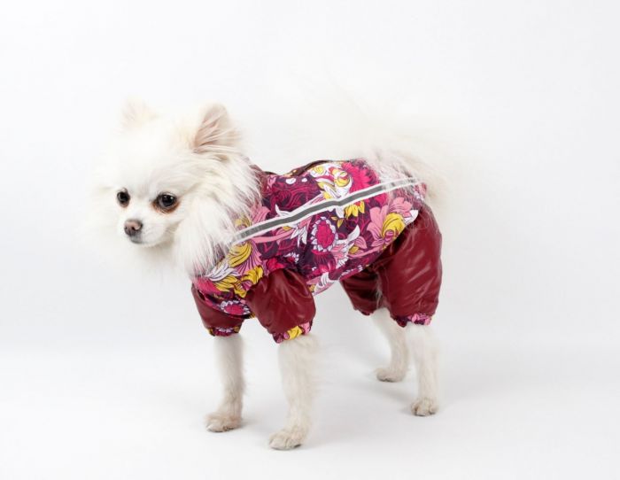 Набір Фрезія жилет силікон + комбінезон велсофт бордо (дівчинка) XS