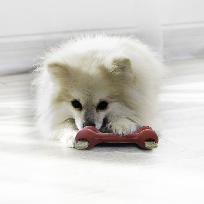 Іграшка для собак Kong Goodie Bone Червоний L