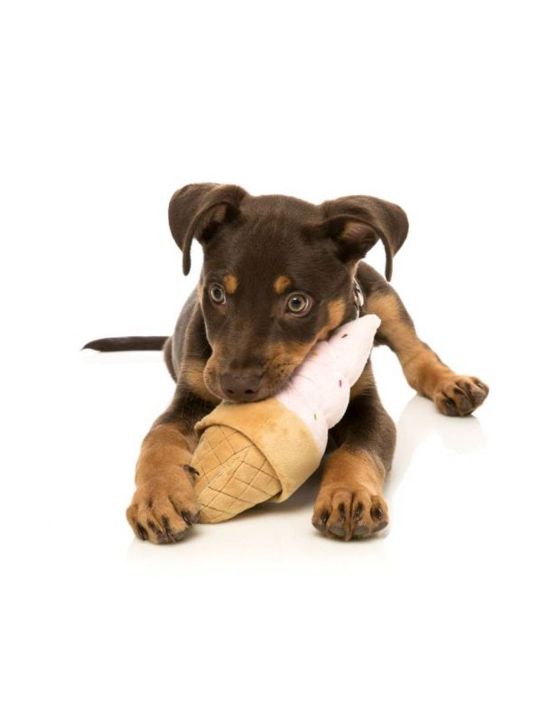 М'яка іграшка для собак FuzzYard Морозиво