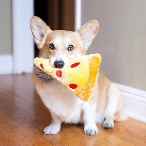 М'яка іграшка для собак піца ZippyPaws NomNomz Pizza з пищалкою