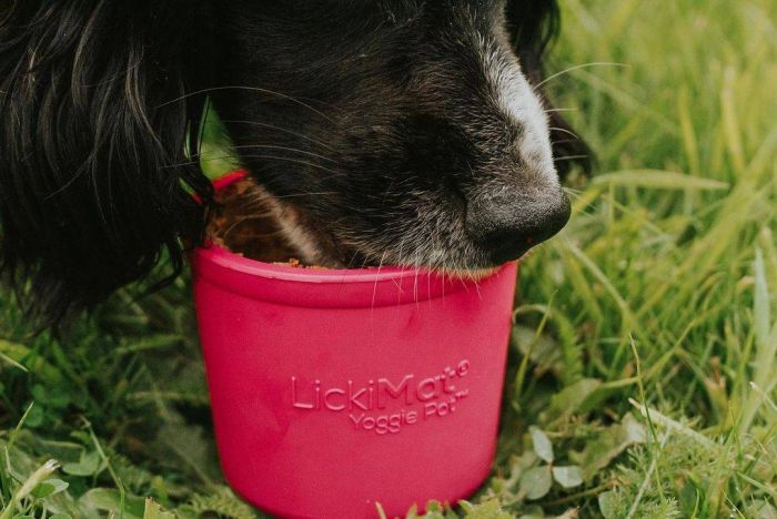 Миска повільного годування собак LickiMat Yoggie Pot Pink
