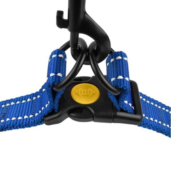 Шлея капронова світловідбиваюча синя 25мм (58-71см)