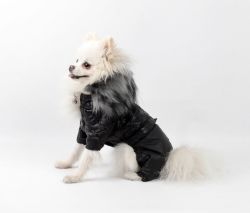 Комбінезон Лагерфельд стьобана плащівка на силіконі (хлопчик) S3