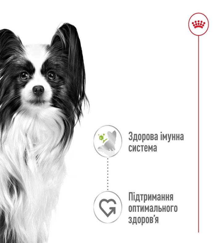 АКЦІЯ Royal Canin X-small Adult in gravy вологий корм для дорослих собак мініатюрних розмірів 85 гр 