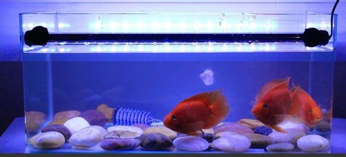 Підводне підсвічування T4 - 40led світлодіодне 2 W 40 см білий