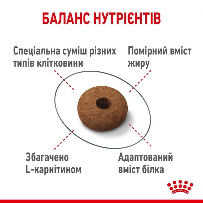 АКЦІЯ Royal Canin Appetite Control набір корму для стерилізованих котів 2 кг + 4 паучі 