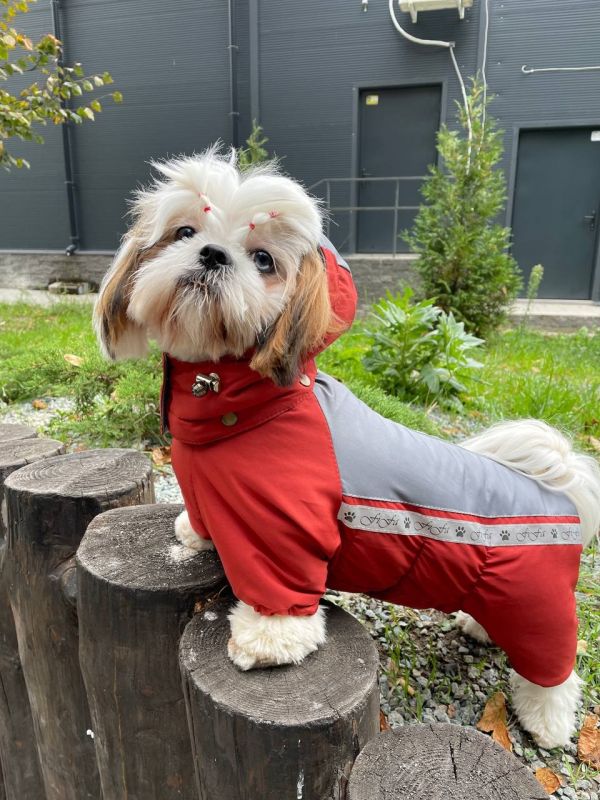 Сонечко комбінезон для собак дівчаток на силіконі S