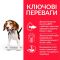 Hills SP Puppy Medium для цуценят середніх порід з куркою 0,8 кг