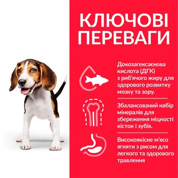 Hills SP Puppy Medium для цуценят середніх порід з куркою 0,8 кг