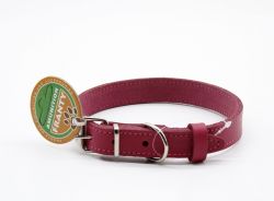 Нашийник Franty Style шкіра, 20 мм х 33-41 см рожевий