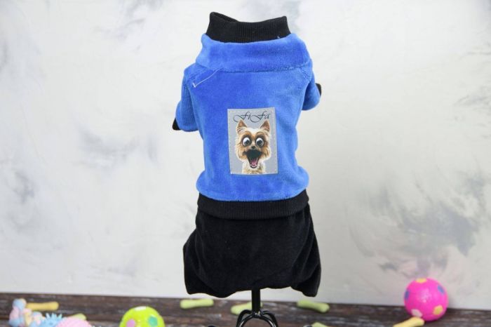 Кузя комбінезон для собак хлопчиків велюр S2